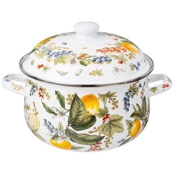 Кастрюля 5л эмаль Фруктовая корзина лимоны